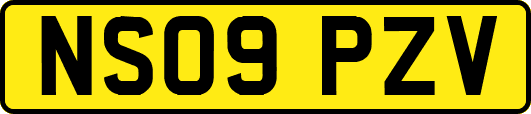 NS09PZV