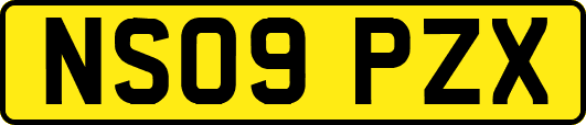 NS09PZX