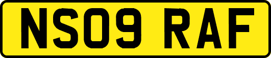 NS09RAF