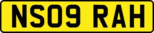 NS09RAH