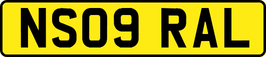 NS09RAL