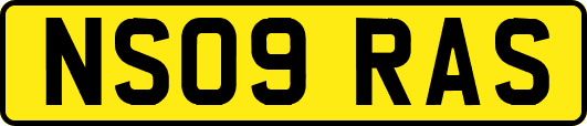 NS09RAS