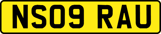 NS09RAU
