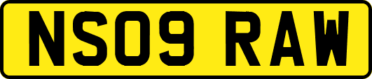 NS09RAW