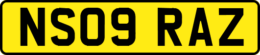 NS09RAZ