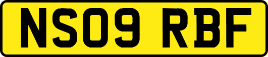 NS09RBF