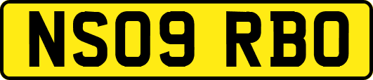 NS09RBO