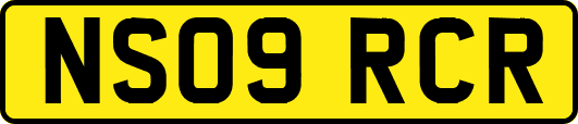 NS09RCR