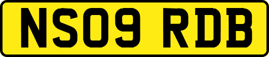 NS09RDB