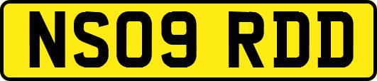 NS09RDD