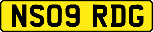 NS09RDG