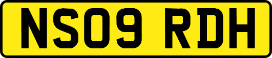 NS09RDH