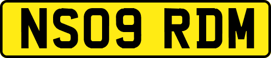 NS09RDM