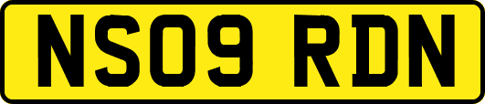 NS09RDN