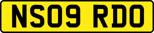 NS09RDO