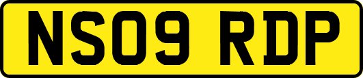 NS09RDP