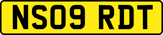 NS09RDT