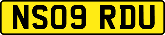 NS09RDU
