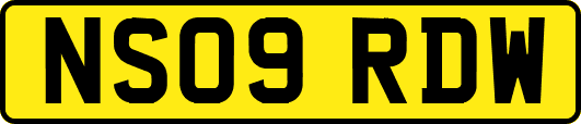 NS09RDW
