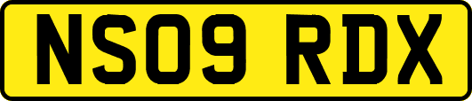 NS09RDX