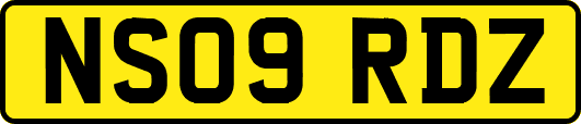 NS09RDZ