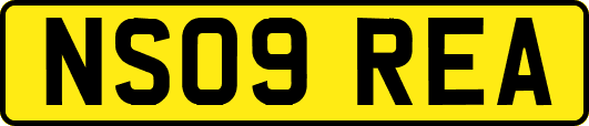 NS09REA