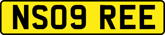 NS09REE