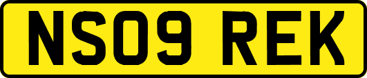 NS09REK