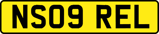 NS09REL