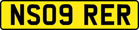 NS09RER