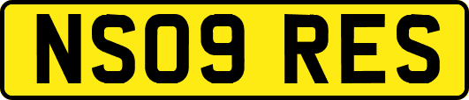 NS09RES
