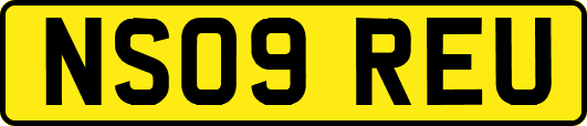 NS09REU