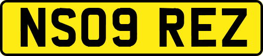 NS09REZ