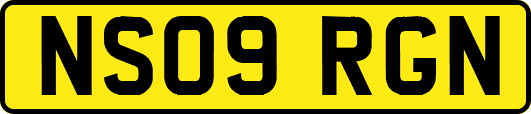 NS09RGN