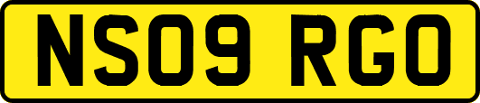 NS09RGO