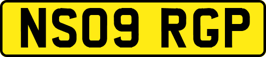 NS09RGP