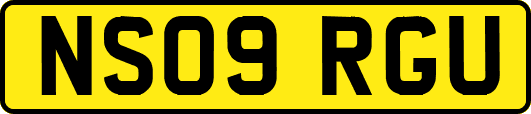 NS09RGU