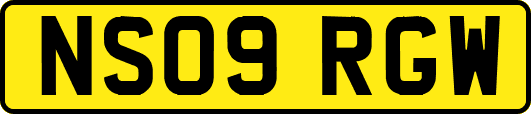 NS09RGW