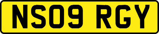 NS09RGY