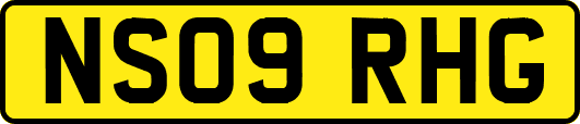 NS09RHG