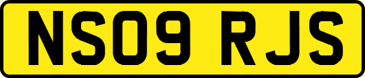 NS09RJS