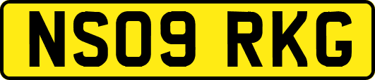 NS09RKG