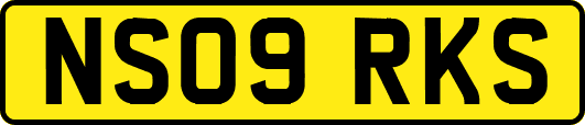 NS09RKS