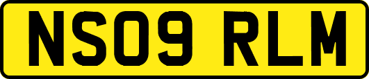 NS09RLM