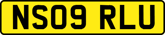 NS09RLU
