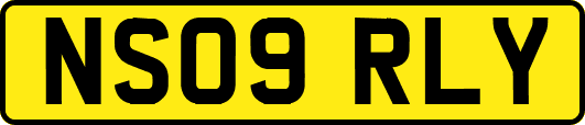 NS09RLY