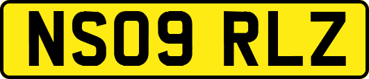 NS09RLZ