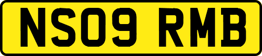 NS09RMB