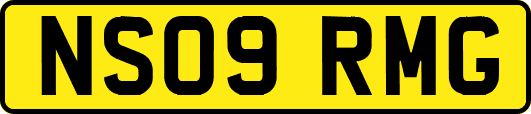 NS09RMG
