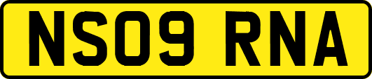 NS09RNA